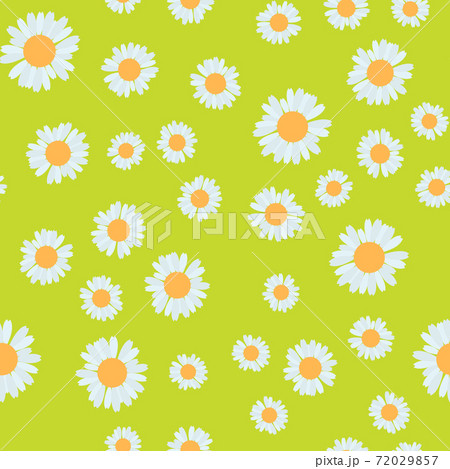 Flower Seamless Pattern Background. Vector Illustration. EPS10 72029857