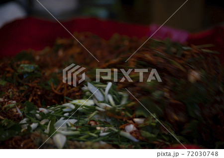 韓国 植物 キムチ 72030748