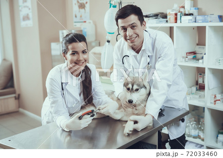 Two veterinarians look at the camera.  72033460