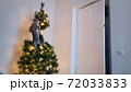 A cute playful cat climbed into the Christmas tree. 72033833