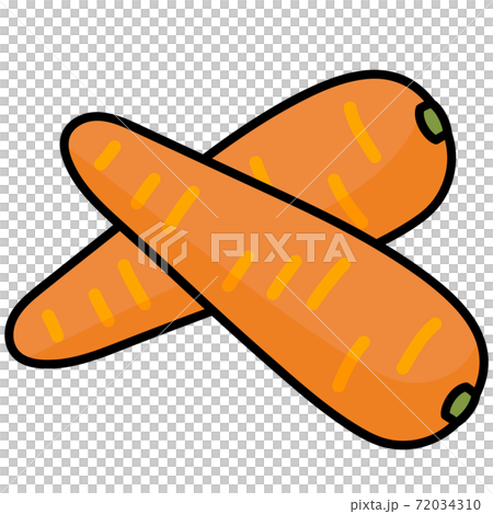 2 carrots cut illustration material / carrot / carrot 2 carrots cut illustration material / carrot / carrot 72034310