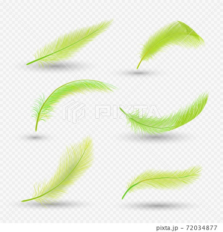 Gold feather set, vector isolated illustration. Realistic fluffy feathers of beautiful birds. 72034877