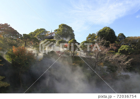 ホテル椿山荘東京　庭園　 72036754