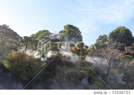 ホテル椿山荘東京　庭園　 72036755