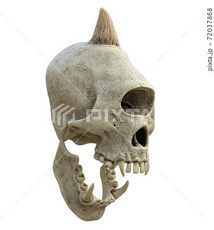 Monster skull isolated on white background 3d illustration Monster skull isolated on white background 3d illustration 72037868