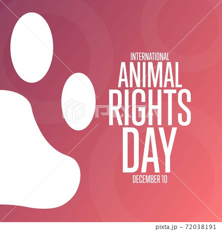 International Animal Rights Day. December 10. Holiday concept. Template for background, banner, card 72038191