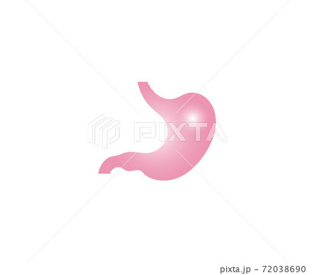 Stomach color icon, on white background. Vector. 72038690
