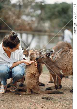 Woman in the reserve is playing with a kangaroo 72038824