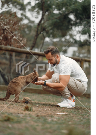 Man in the reserve is playing with a kangaroo Man in the reserve is playing with a kangaroo 72038825