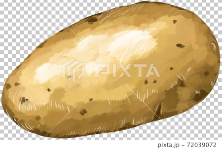 じゃがいもメークイン イラストリアルのイラスト素材 じゃがいもメークイン イラストリアルのイラスト素材