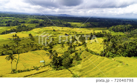 Beautiful Rice Terraces field aerial view 72040798