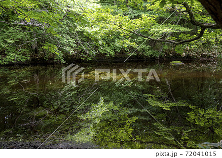 森の奥の鏡のような平伏沼 72041015