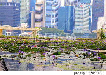 マリーナベイ・サンズホテル内からの風景 72041138