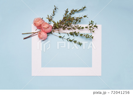 White frame with pink roses flowers on blue paper background  72041256