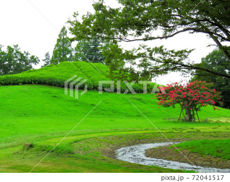 夏の終わりの公園 夏の終わりの公園 72041517