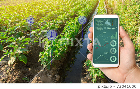 The farmer holds a phone and receives information parameters and data from agricultural field. Advanced technologies in agriculture. Agroindustry and agribusiness. Hi-tech. European organic farming. 72041600