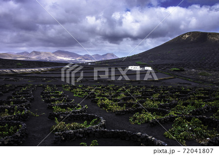 The Wine Valley of La Geria - Lanzarote, Spain 72041807