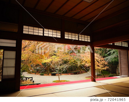 京都紅葉 京都紅葉 72041965