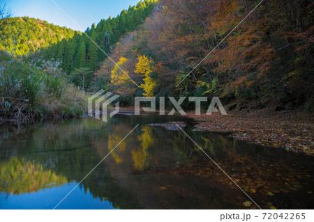 渓谷を彩る紅葉(大分県玖珠町 大谷渓谷) 渓谷を彩る紅葉(大分県玖珠町 大谷渓谷) 72042265