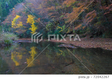 渓谷を彩る紅葉（大分県玖珠町　大谷渓谷） 72042267