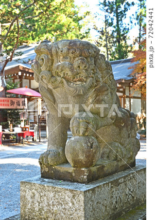 秩父・長瀞散歩:宝登山神社 狛犬 秩父・長瀞散歩:宝登山神社 狛犬 72042441