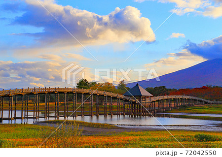 岩木山をバックに草モミジの鶴の舞橋 72042550