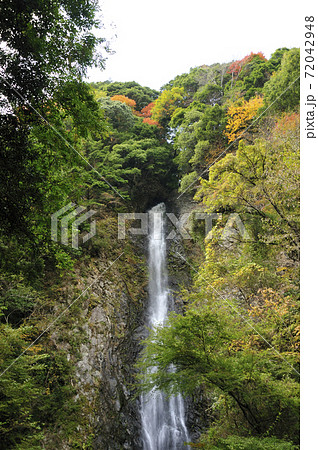 宇嶺の滝 72042948