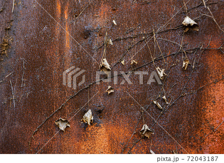 経年劣化 錆びた鉄扉の写真素材