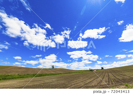 初夏の青空と赤い屋根の家　北海道美瑛町 72043413