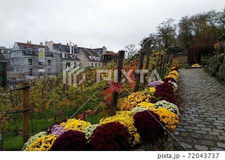 パリの街角　モンマルトル　ピガール 72043737