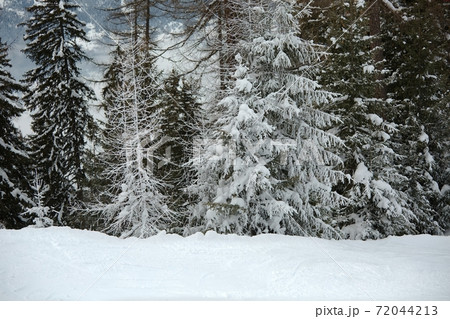 Winter Snowy Landscape Winter Snowy Landscape 72044213