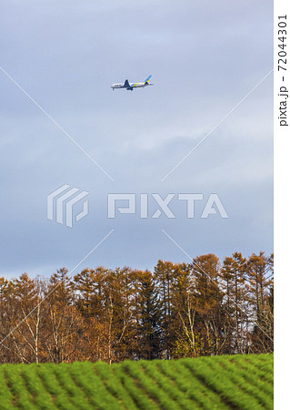 紅葉したカラマツ林と飛行機 北海道美瑛町の写真素材