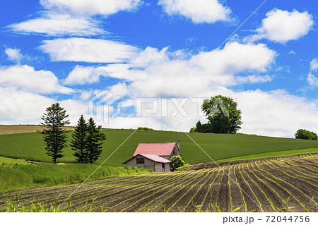 初夏の青空と赤い屋根の家　北海道美瑛町 72044756