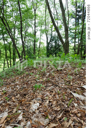 XT2国営アルプスあづみの公園2018年5月その7 XT2国営アルプスあづみの公園2018年5月その7 72044866