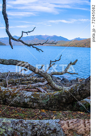 中禅寺湖　歌ヶ浜付近から日光白根山方面　紅葉景色　秋景色　　 72045082