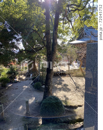 筑波山の紅葉 筑波山の紅葉 72045752