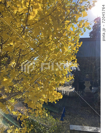 筑波山の紅葉 筑波山の紅葉 72045764