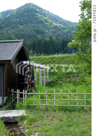 XT2国営アルプスあづみの公園里山文化ゾーン菜の花その59 XT2国営アルプスあづみの公園里山文化ゾーン菜の花その59 72045815