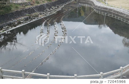 冠岳花川砂防公園にある川池 冠岳花川砂防公園にある川池 72045966
