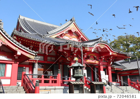 甚目寺観音の本堂(愛知県あま市) 甚目寺観音の本堂(愛知県あま市) 72046581