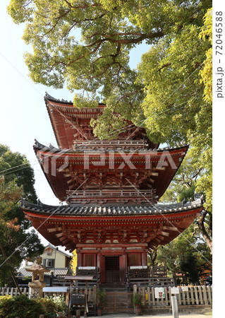 甚目寺観音の三重塔（愛知県あま市） 72046588