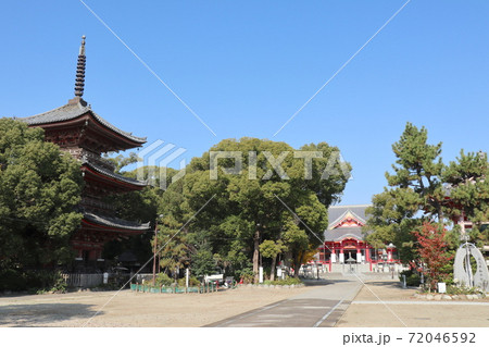 甚目寺観音（愛知県あま市） 72046592