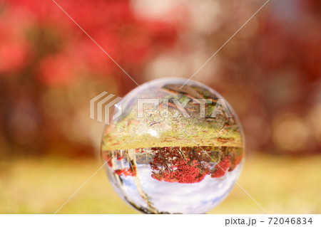 レンズボールで見た逆さまの紅葉2 レンズボールで見た逆さまの紅葉2 72046834