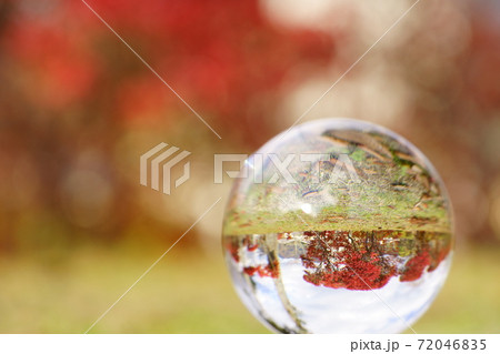 レンズボールで見た逆さまの紅葉3 レンズボールで見た逆さまの紅葉3 72046835
