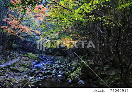 三重県赤目四十八滝の紅葉 三重県赤目四十八滝の紅葉 72046912