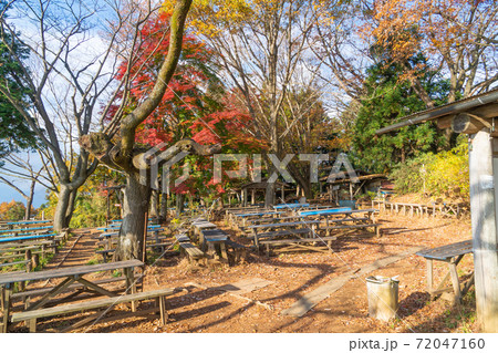 早朝の景信山山頂で見れる紅葉（奥高尾） 72047160