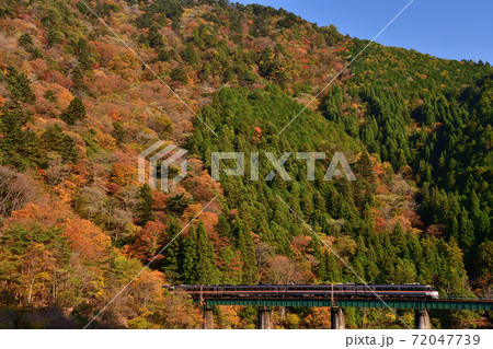 紅葉と特急列車 紅葉と特急列車 72047739