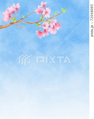 桜のひと枝と青空の背景イラスト 縦のイラスト素材