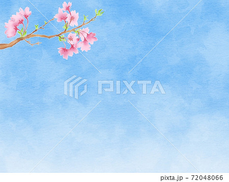 桜のひと枝と青空の背景イラスト 横のイラスト素材