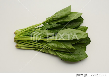 ほうれん草 ほうれん草 72048099